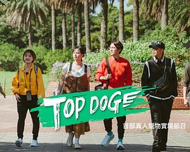 91直播视频《TOP DOG》免费在线观看