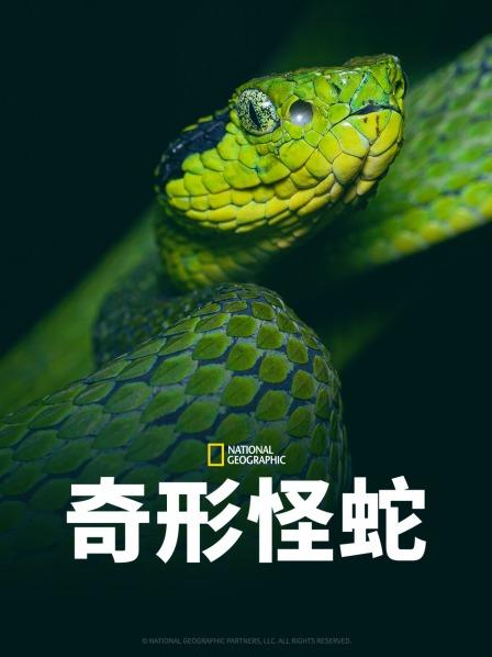 91看片《奇形怪蛇》免费在线观看